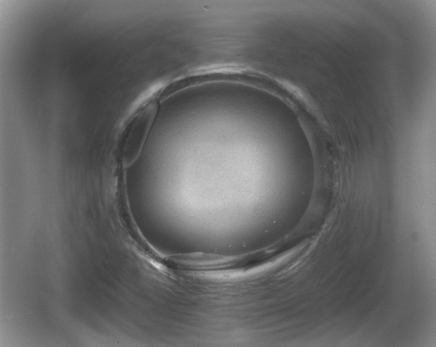 X0000066541406200603241359