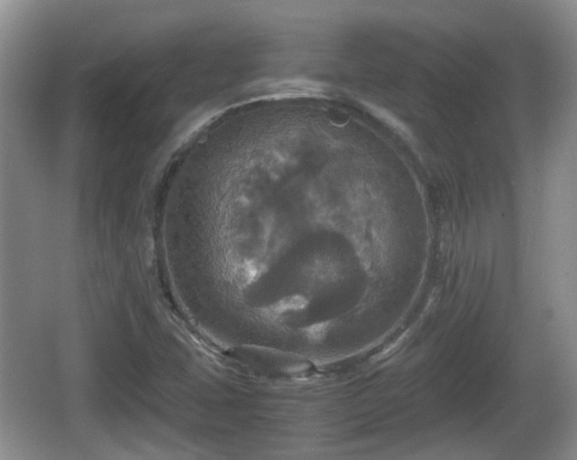 X0000066541407200603241359