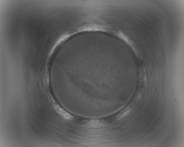 X0000066541408200603241359