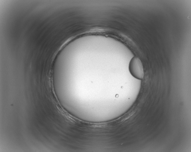 X0000066541409200603241359