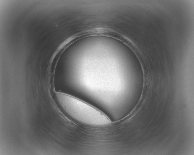 X0000066541410200603241359