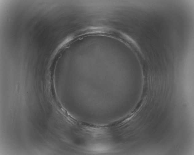 X0000066541411200603241359