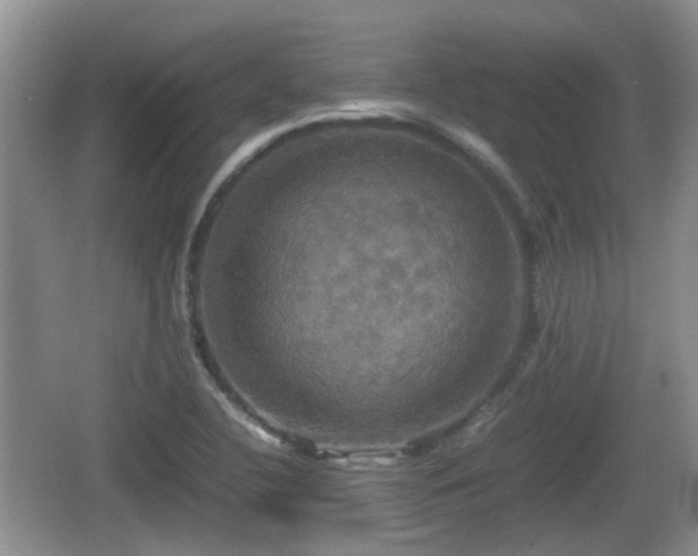 X0000066541412200603241359