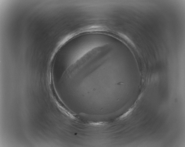 X0000066541413200603241359