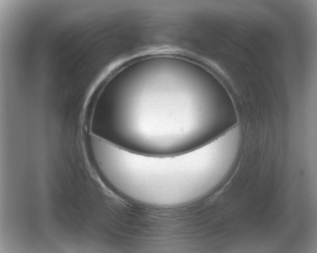 X0000066541414200603241359