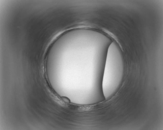 X0000066541415200603241359