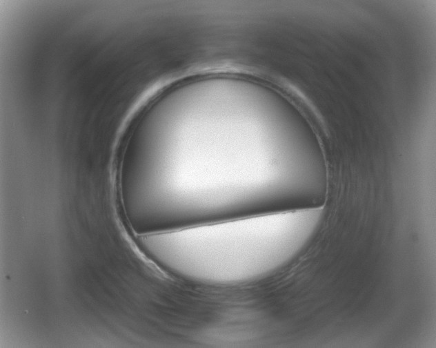 X0000066541416200603241359