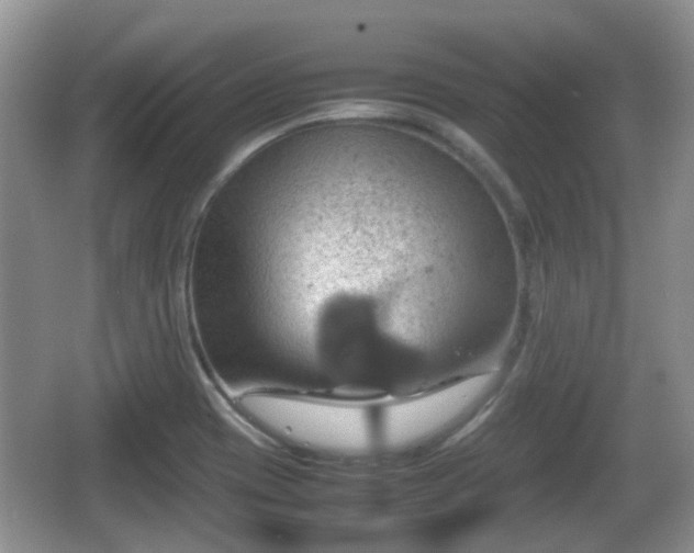 X0000066541417200603241359