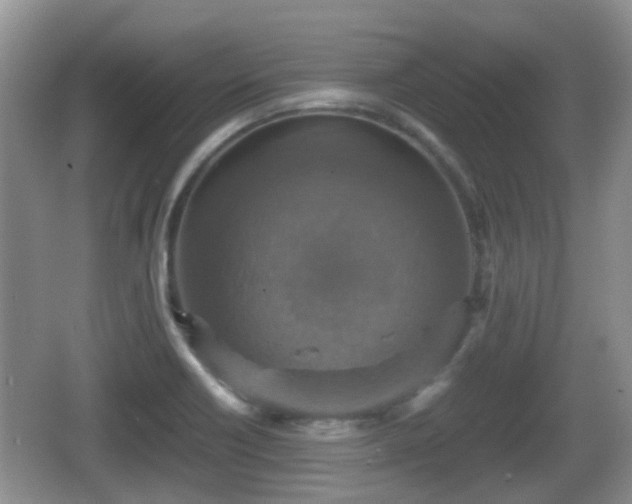 X0000066541418200603241359