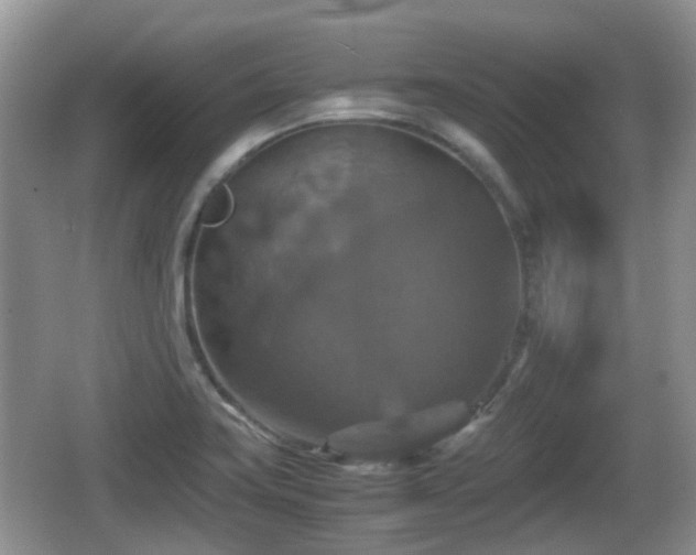 X0000066541419200603241359