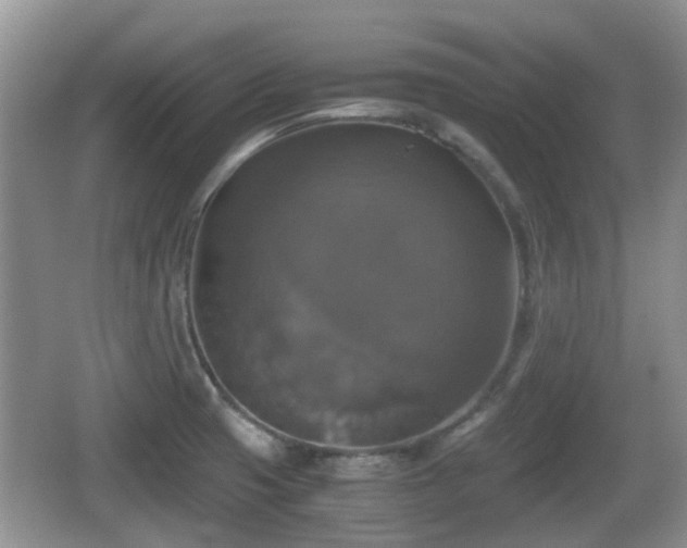 X0000066541425200603241359