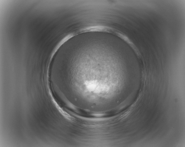 X0000066541426200603241359