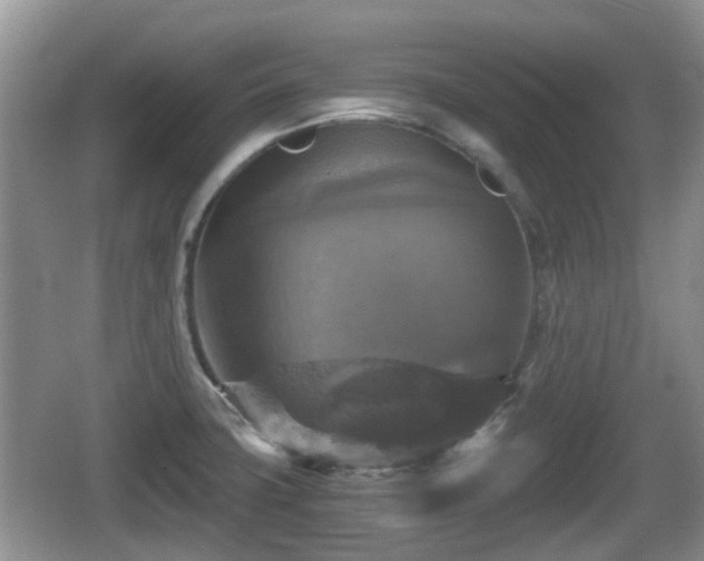 X0000066541427200603241359