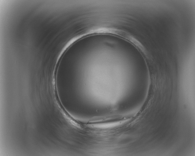 X0000066541428200603241359