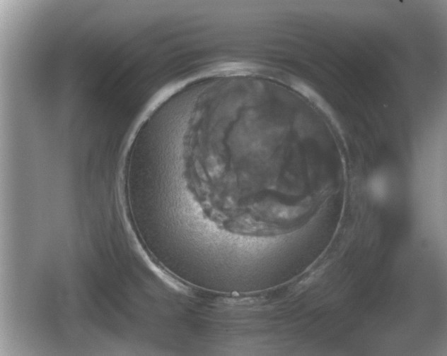 X0000066541429200603241359