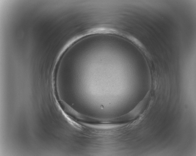 X0000066541430200603241359