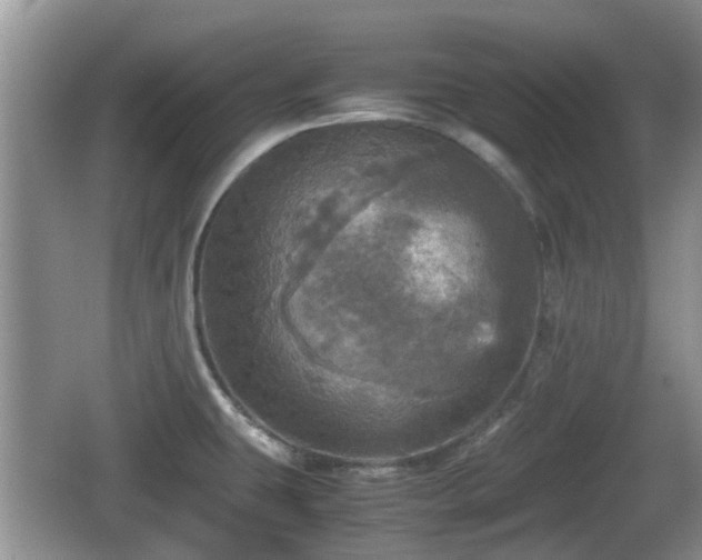 X0000066541431200603241359