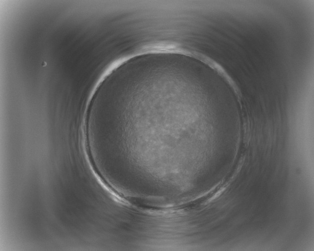 X0000066541432200603241359