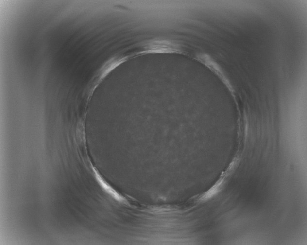 X0000066541433200603241359