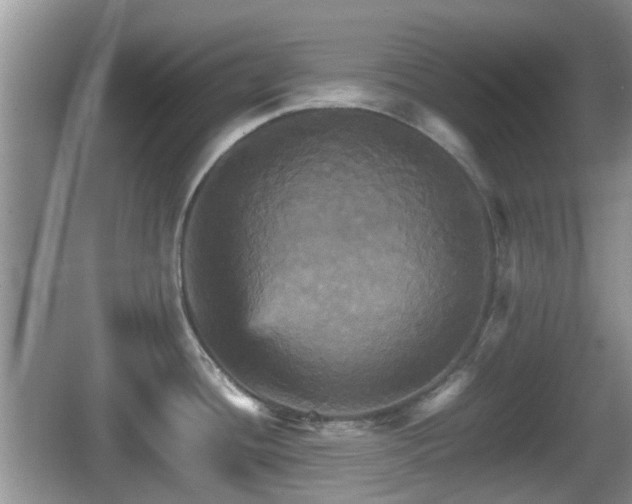 X0000066541436200603241400