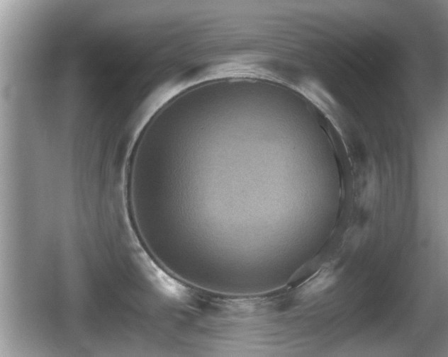 X0000066541438200603241400