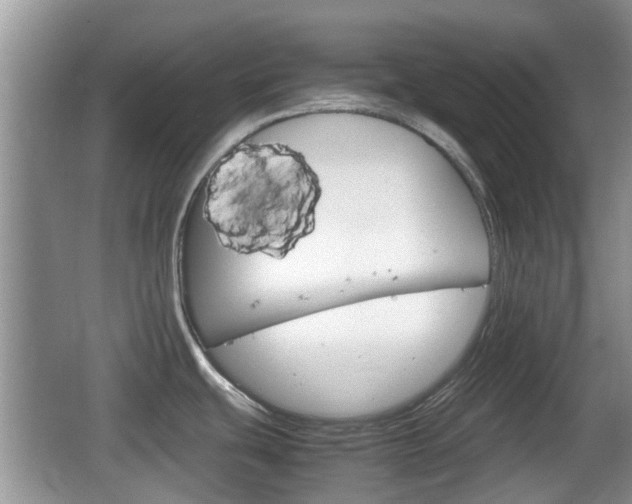 X0000066541439200603241400