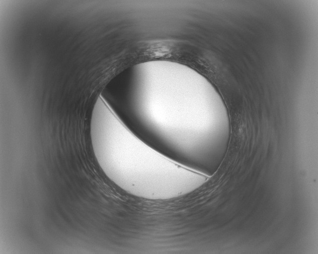 X0000066541442200603241359