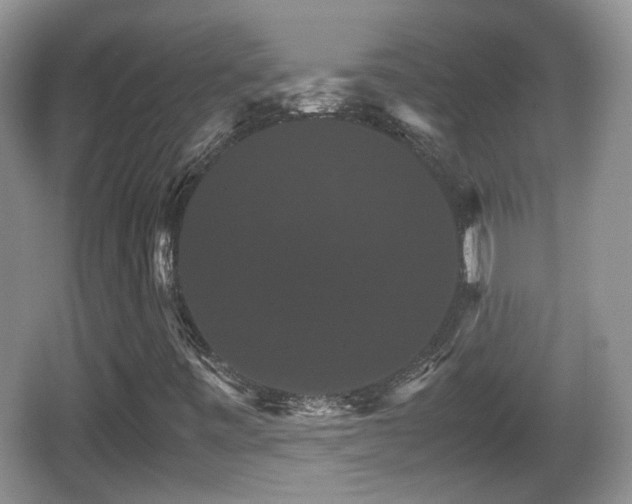 X0000066541443200603241359