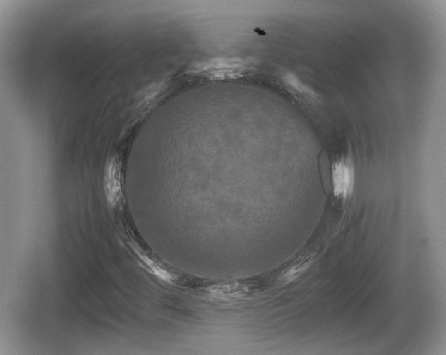 X0000066541444200603241359