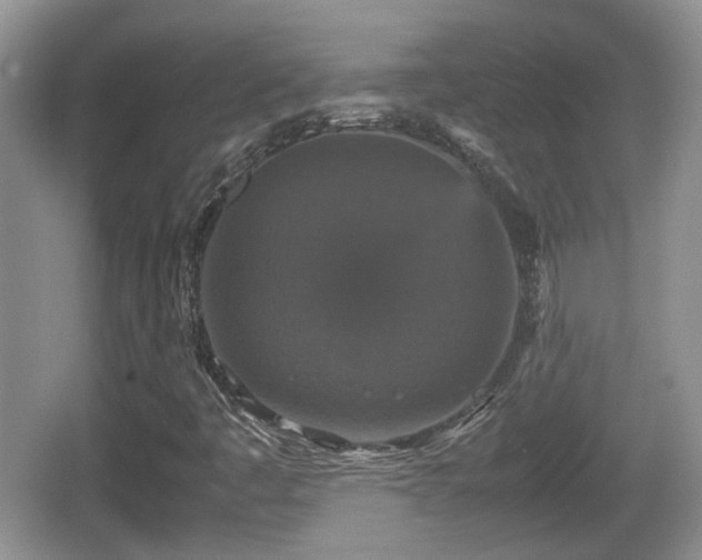 X0000066541445200603241359