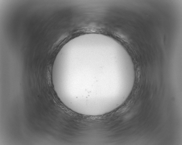 X0000066541446200603241359