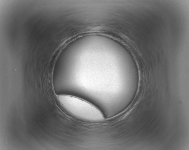 X0000066541449200603241359