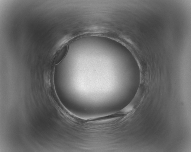 X0000066541451200603241359