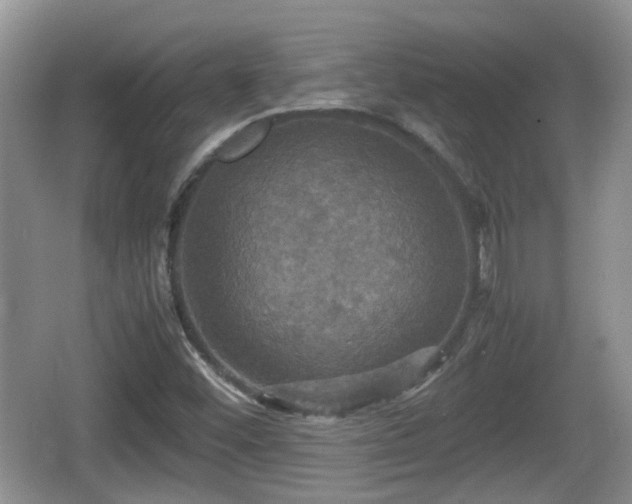 X0000066541452200603241359