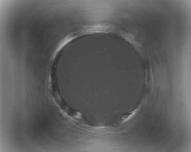 X0000066541453200603241359