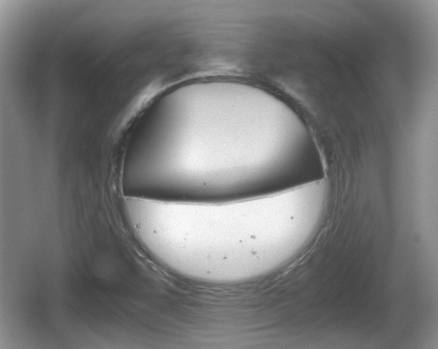 X0000066541455200603241359