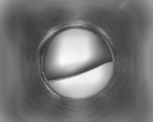 X0000066541456200603241359