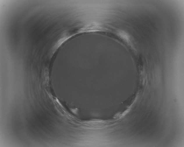 X0000066541457200603241359