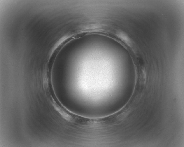 X0000066541458200603241358