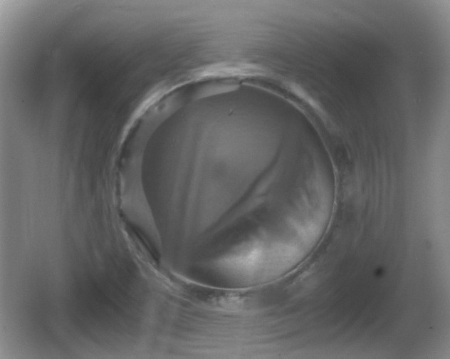 X0000066541459200603241358