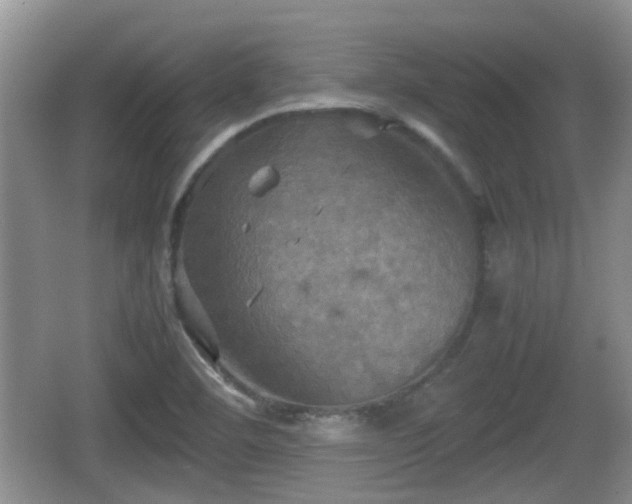 X0000066541460200603241358