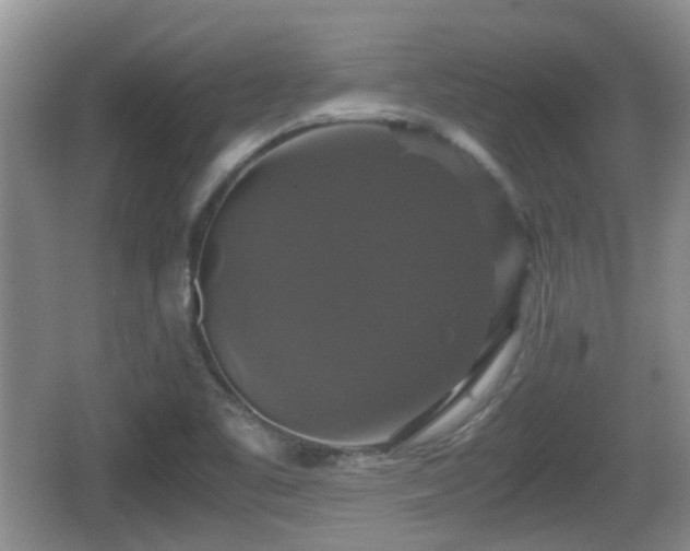 X0000066541461200603241358