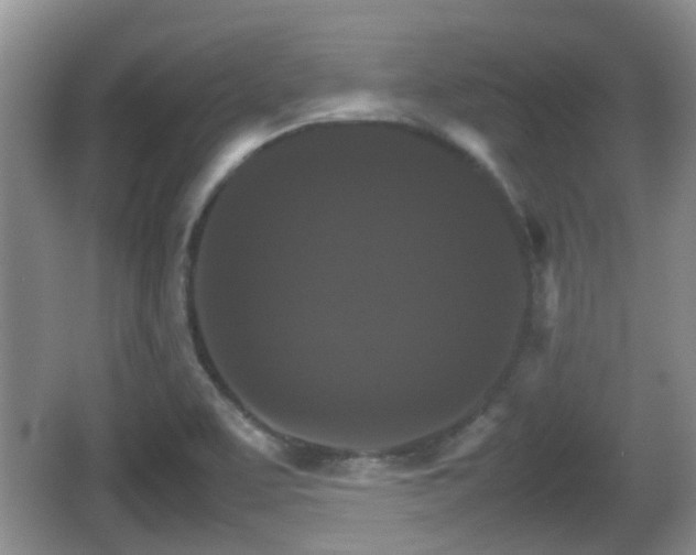 X0000066541463200603241358