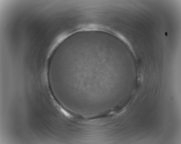 X0000066541464200603241358