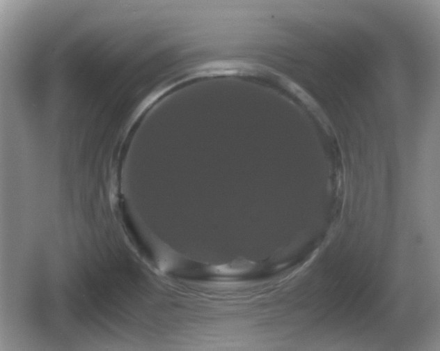 X0000066541465200603241358