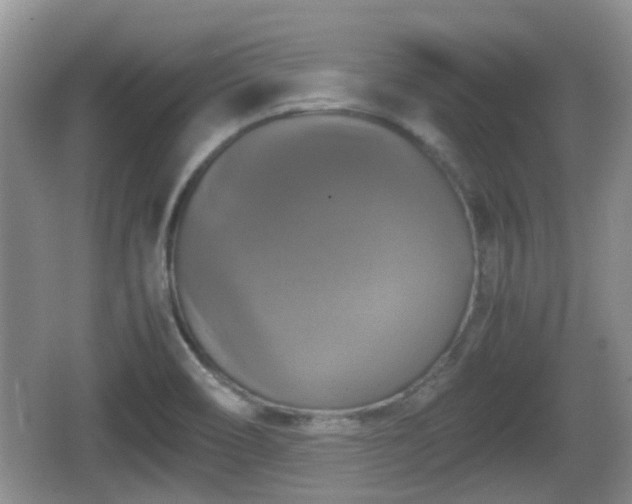 X0000066541466200603241358