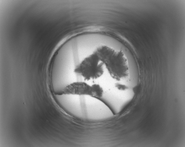 X0000066541467200603241358