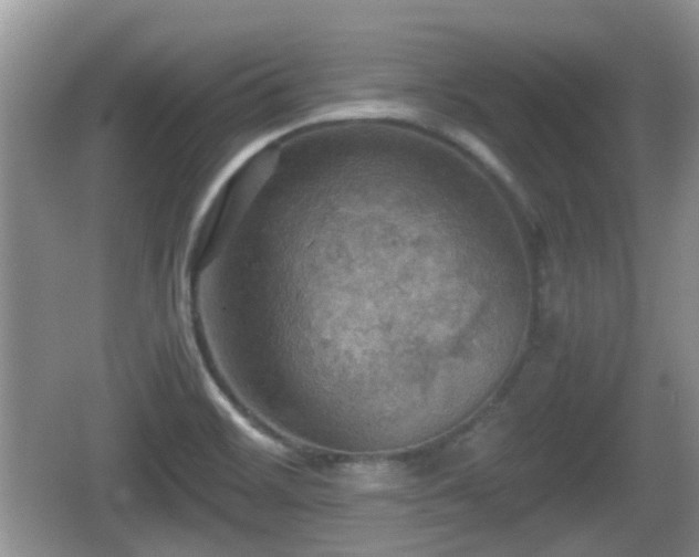 X0000066541468200603241358