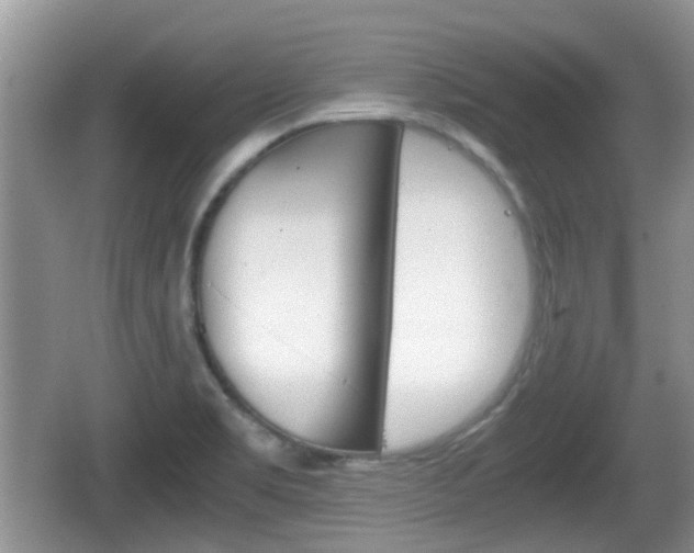 X0000066541469200603241358