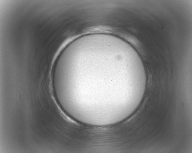 X0000066541470200603241358